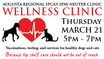 Wellness Clinic March 21